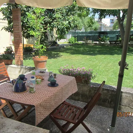 L'albero Delle Noci *