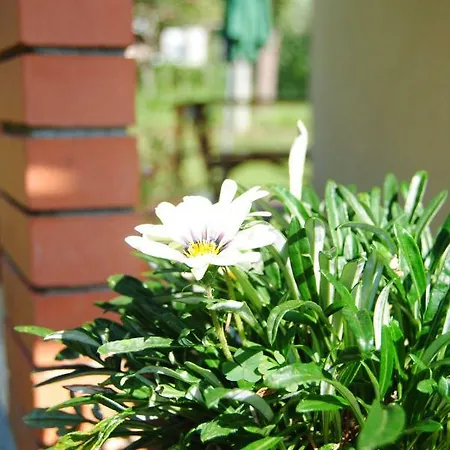 L'albero Delle Noci Vakantiehuis Lanciano