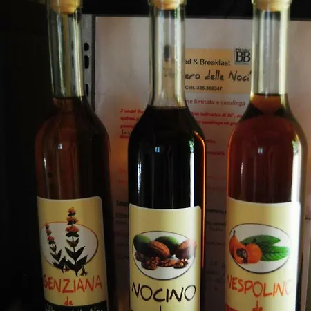 L'albero Delle Noci Vakantiehuis Lanciano