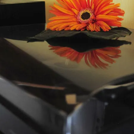 L'albero Delle Noci Lanciano