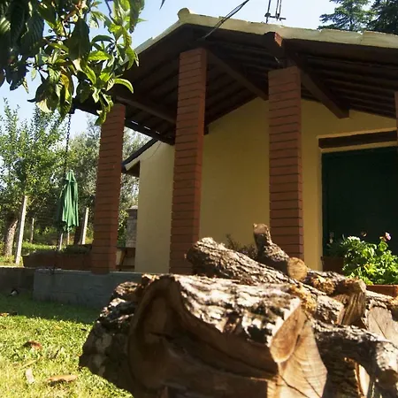 L'albero Delle Noci *