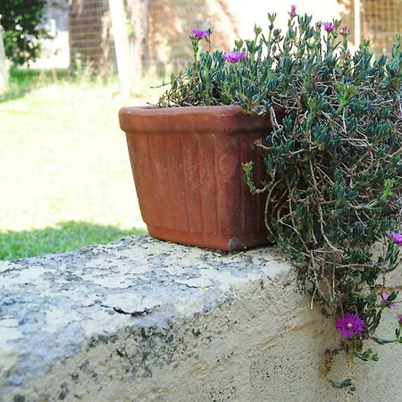 Vakantiehuis L'albero Delle Noci *