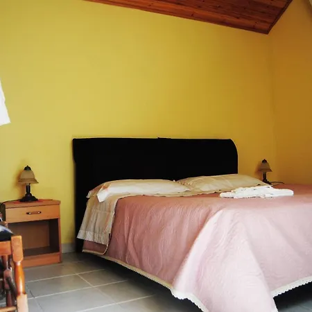 L'albero Delle Noci *