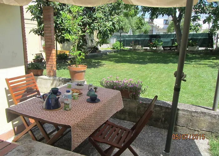 L'albero Delle Noci *