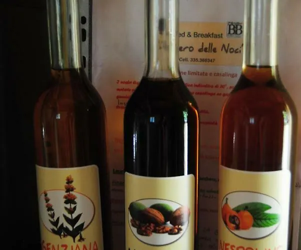 L'albero Delle Noci Casa vacanze Lanciano