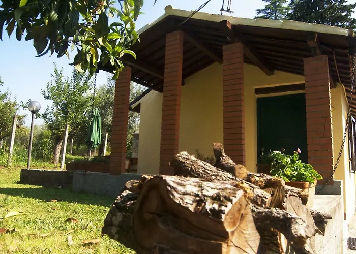 L'albero Delle Noci *