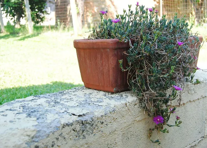 Casa vacanze L'albero Delle Noci *