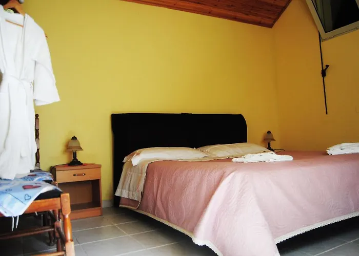 L'albero Delle Noci *